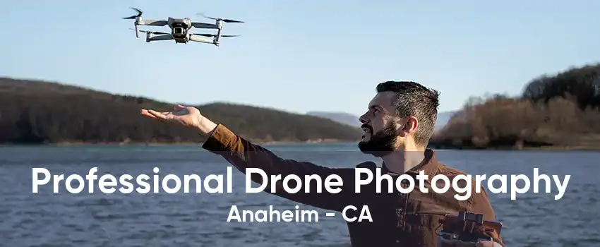 Professional Drone Photography Anaheim - CA