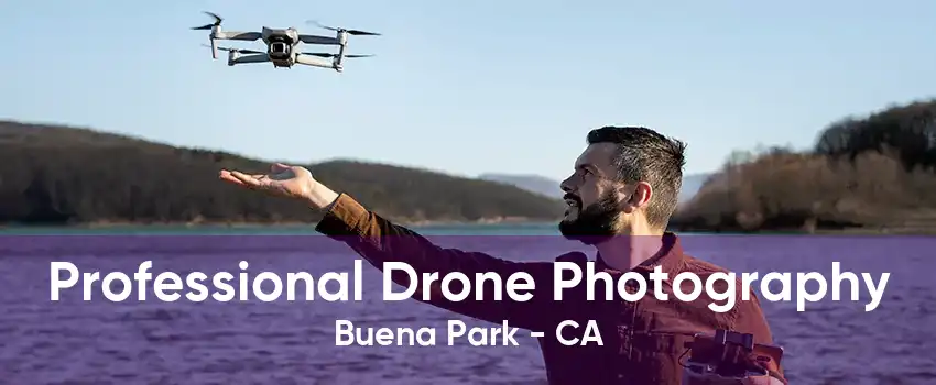 Professional Drone Photography Buena Park - CA