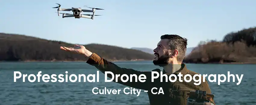 Professional Drone Photography Culver City - CA