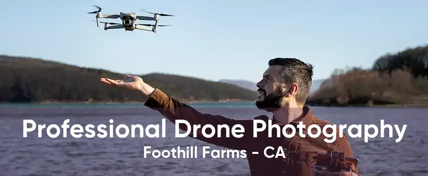 Professional Drone Photography Foothill Farms - CA