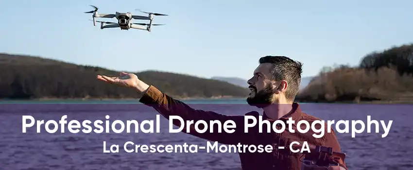 Professional Drone Photography La Crescenta-Montrose - CA