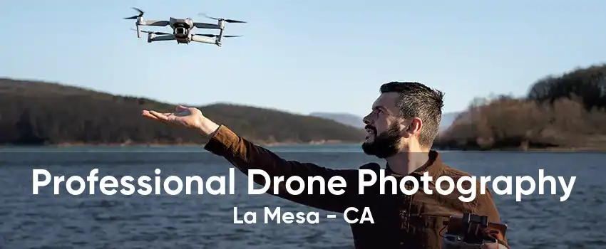 Professional Drone Photography La Mesa - CA