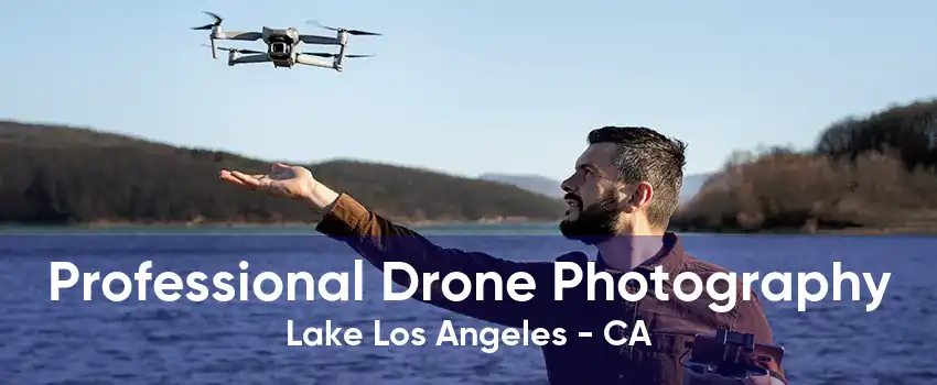 Professional Drone Photography Lake Los Angeles - CA