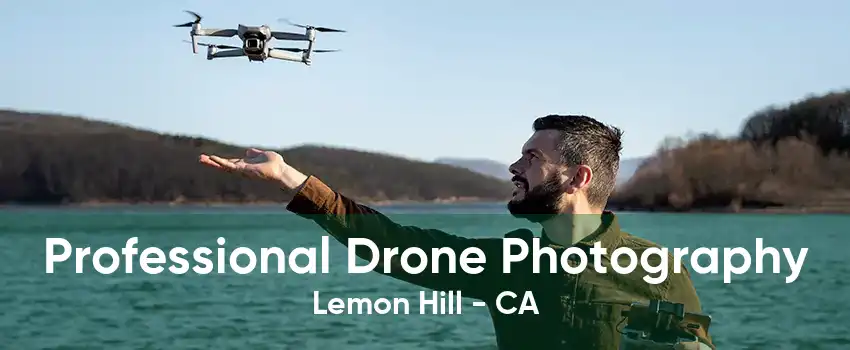 Professional Drone Photography Lemon Hill - CA