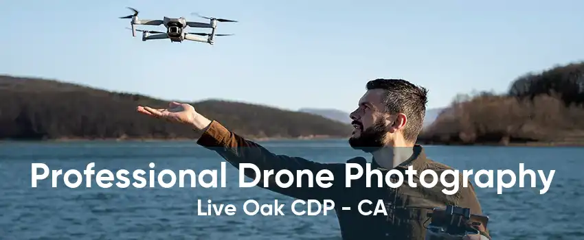 Professional Drone Photography Live Oak CDP - CA