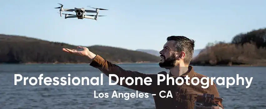 Professional Drone Photography Los Angeles - CA