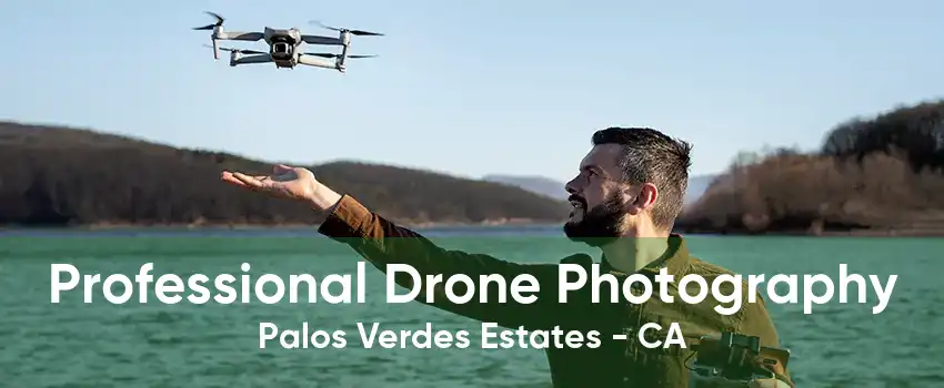 Professional Drone Photography Palos Verdes Estates - CA