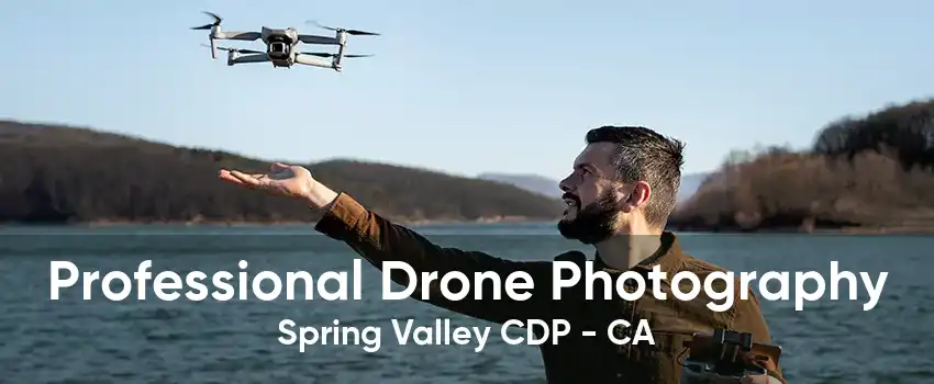 Professional Drone Photography Spring Valley CDP - CA